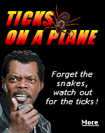 A Des Moines bound United Airlines flight from Denver was delayed six hours when a passenger alerted flight attendants to three ticks in the plane�s cabin.